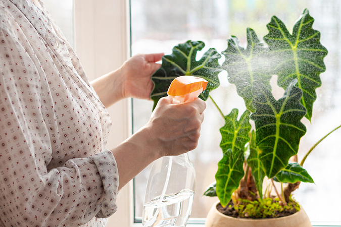 plantura zimmerpflanzen dünger Purgrün Zimmerpflanzen-Dünger 1 Liter